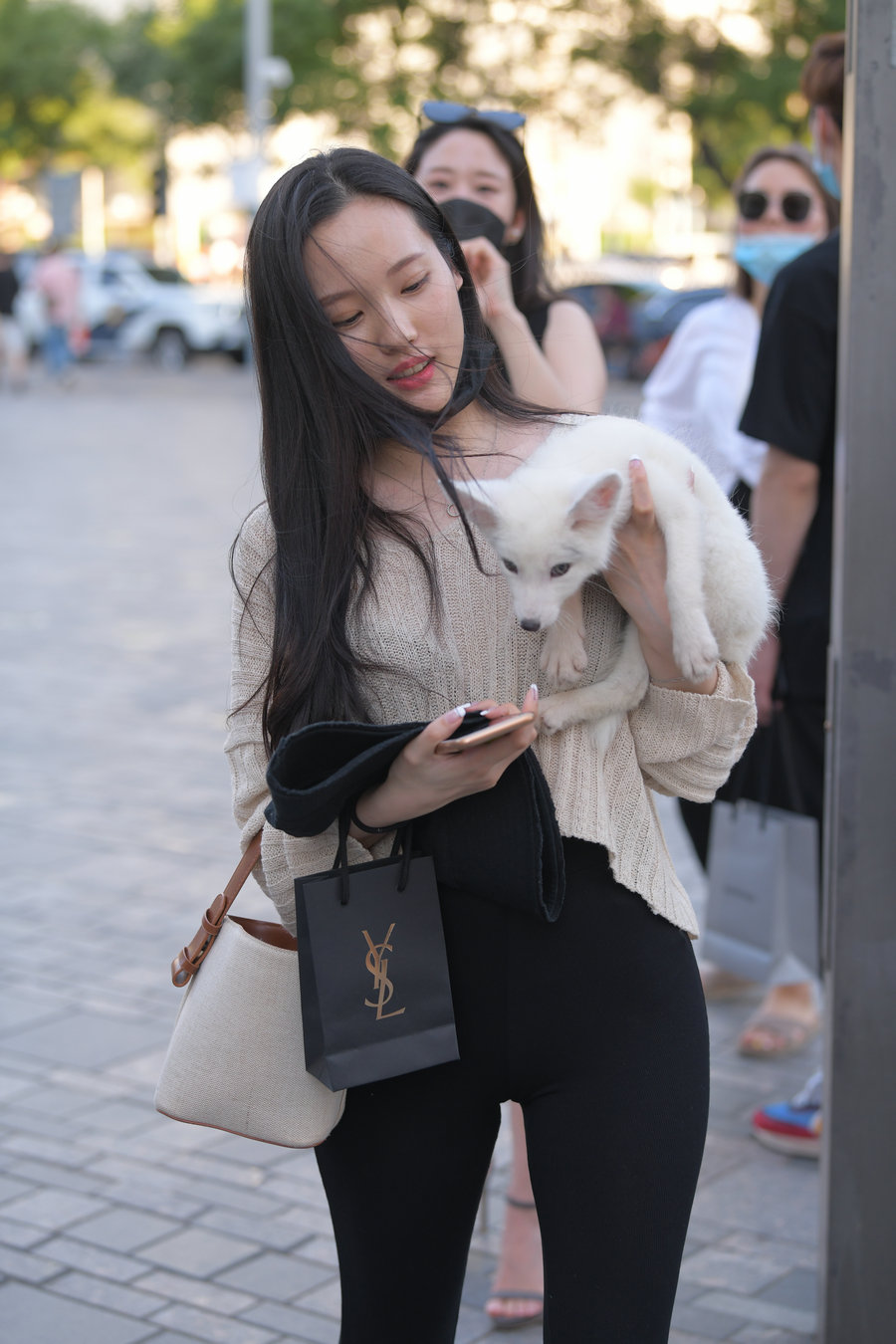 抱着小狗的漂亮女孩 J2106 136P-3.25GB-q图库摄影套图图片大全