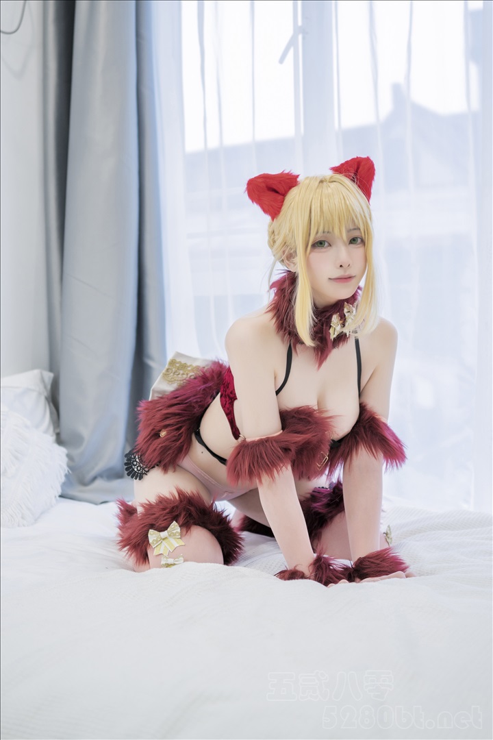 q图库-摄影套图图片大全