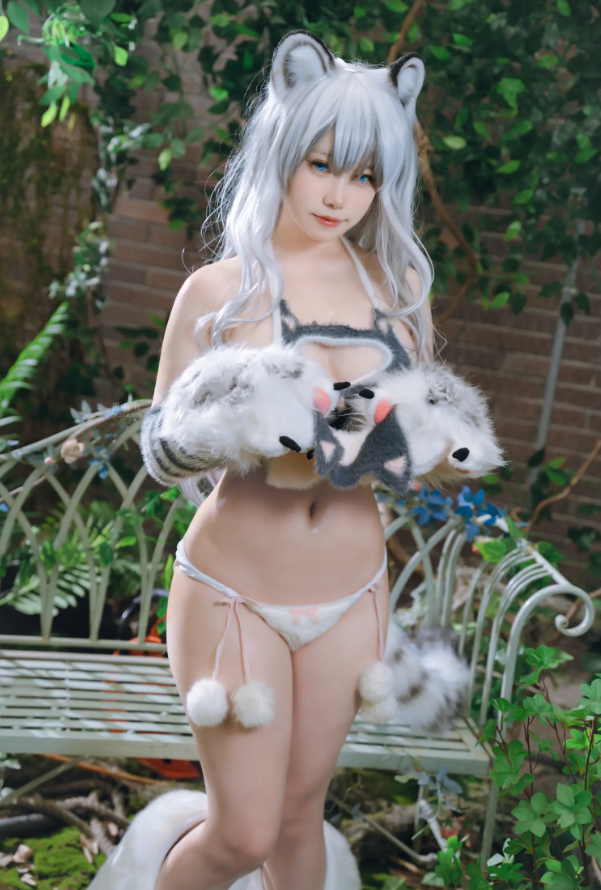 q图库-摄影套图图片大全